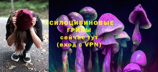ECSTASY Балахна